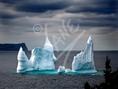 Freshwater Bay iceberg